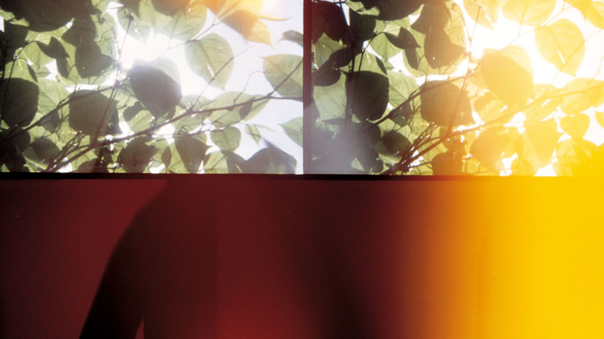 Tomato: Aspesi, Autumn/Winter 1994 (Copyright © Dirk van Dooren, 2022)