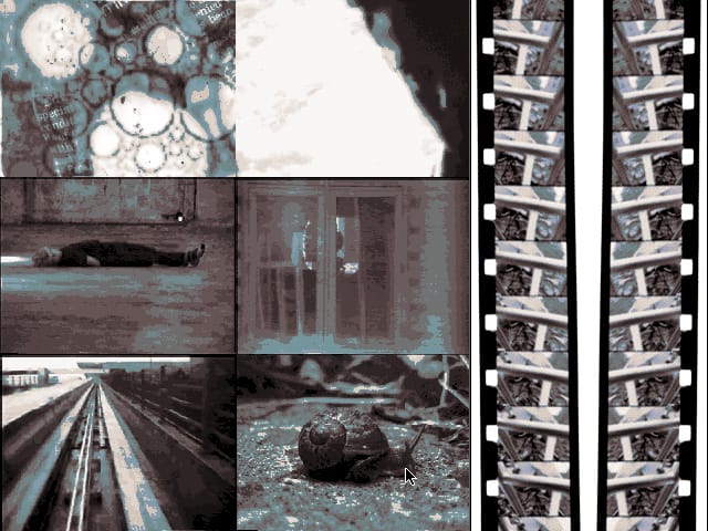 Image 2